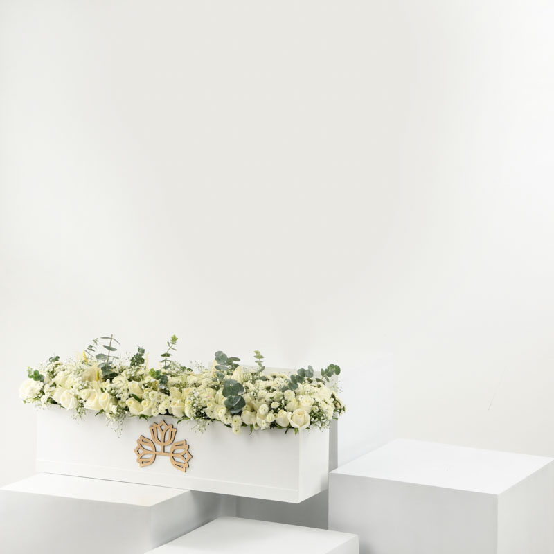  LONG LOW EXOTIC ELEGANCE